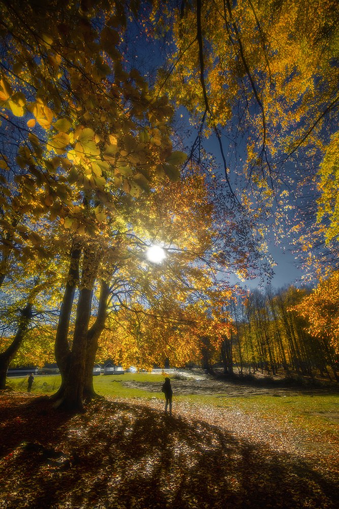 Photograph by Galip Çetiner