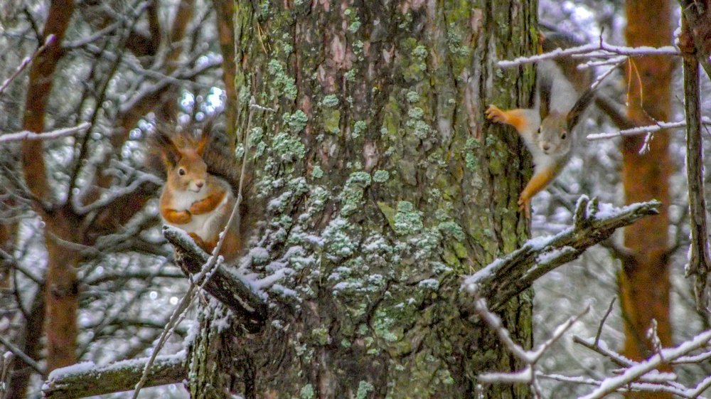Photograph by Дмитрий Михайлов
