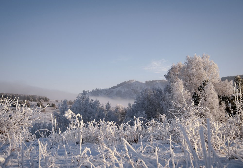 Зимний день...