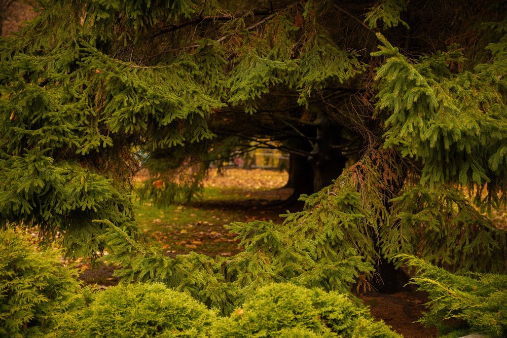 Photograph by Павел Юнусов