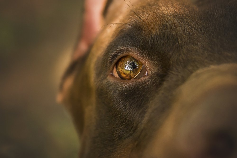 Photograph by Виктория Мамаева