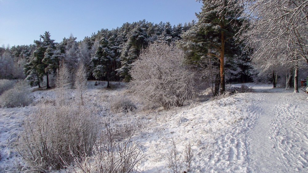 Photograph by Дмитрий Михайлов