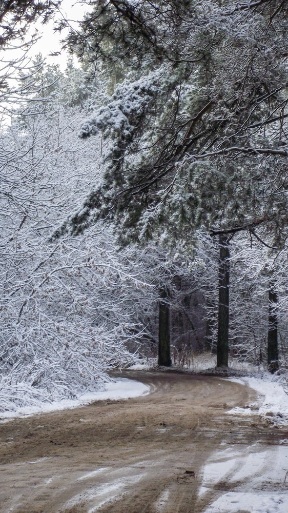 Photograph by Дмитрий Михайлов