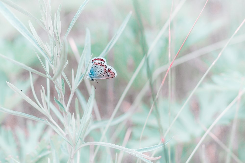 Photograph by Gerasimova Darina