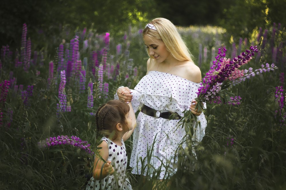 Люпиновое поле