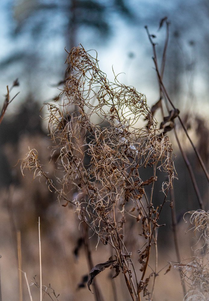 Photograph by Ольга Сафронова