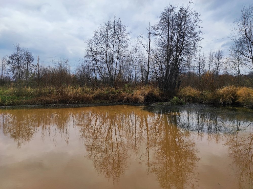 Краски осени