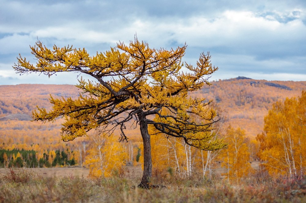 Золото Башкирии