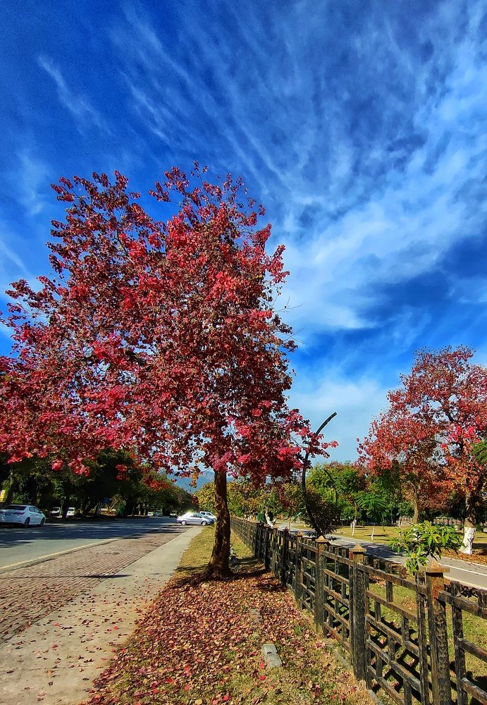 Photograph by Sardar Fakhar