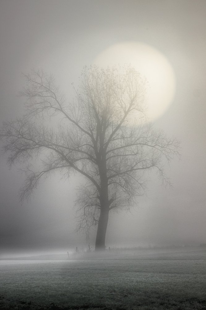 Photograph by Anna Suchcicka