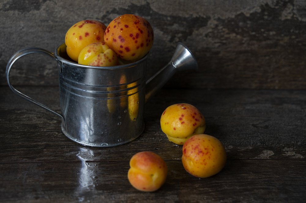 Фотография автора Ирина Зайцева