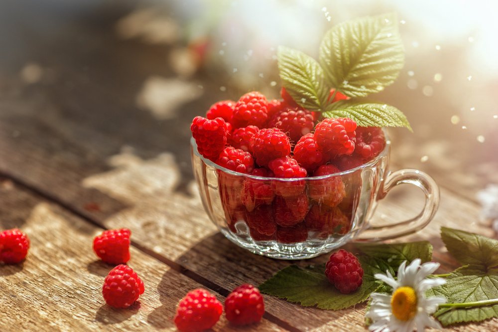 Photograph by Татьяна Афанасьева