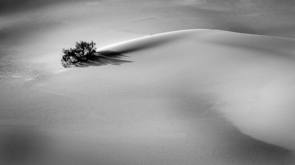 Photograph by Simin Mohit