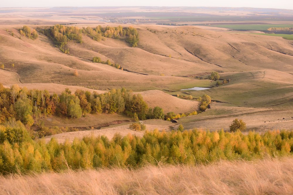 Photograph by Рустам Афлятунов