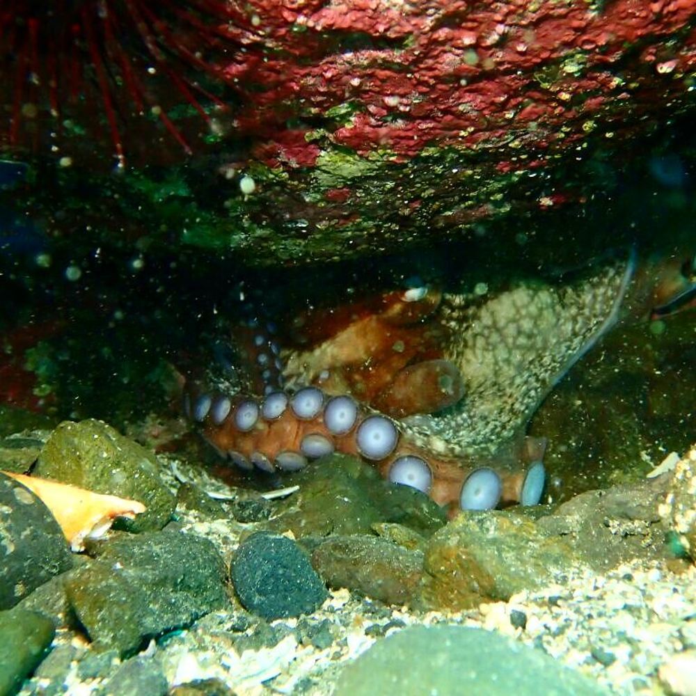 Photograph by ANTON KHOMENKO https://www.patreon.com/ant_vipp