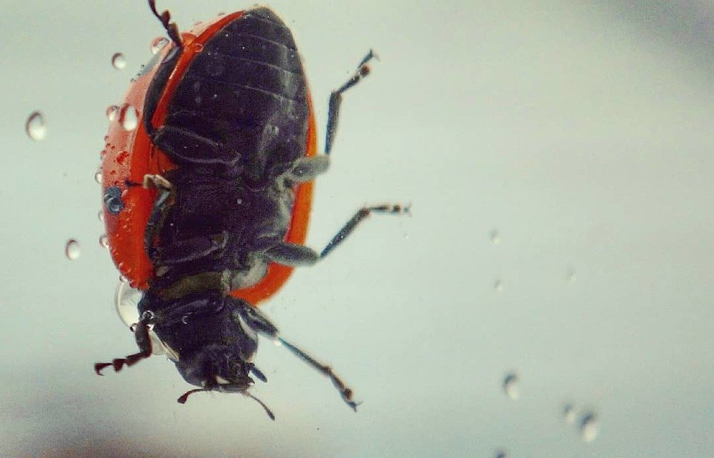 Эквилибриум. На 9 этаже.