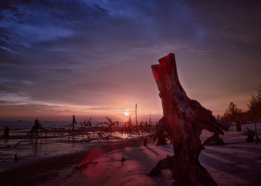 Once They Were Groot