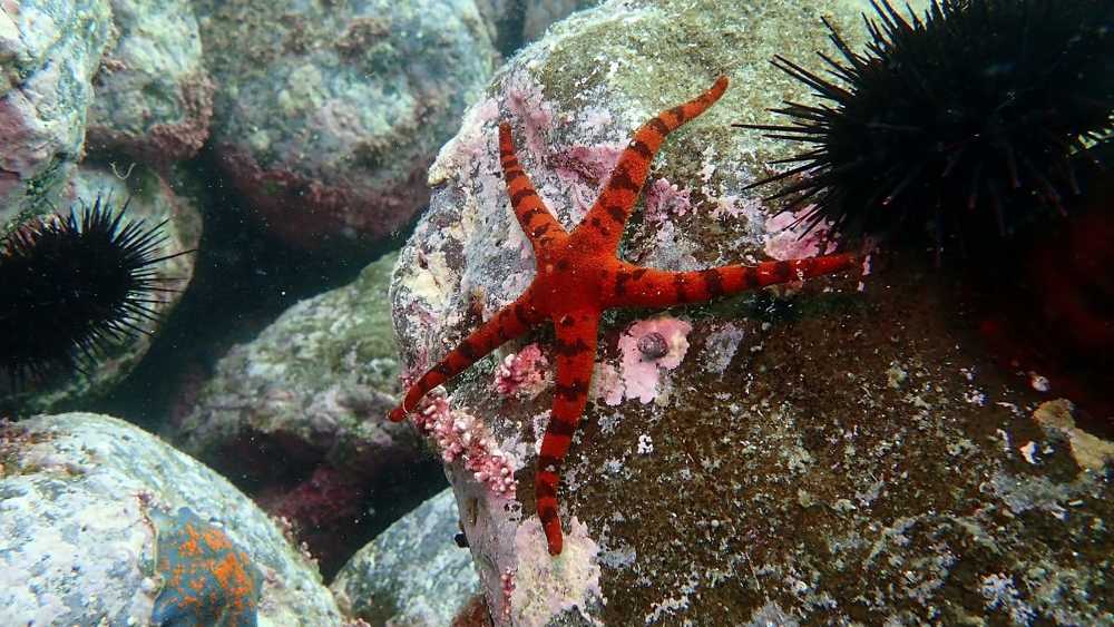 Photograph by ANTON KHOMENKO https://www.patreon.com/ant_vipp