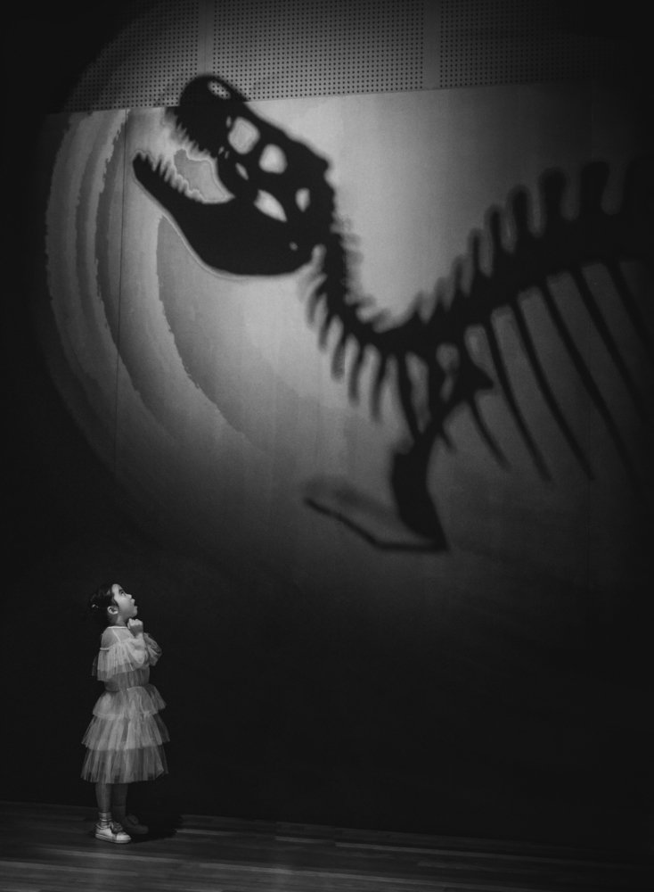 Photograph by Derek Zhang