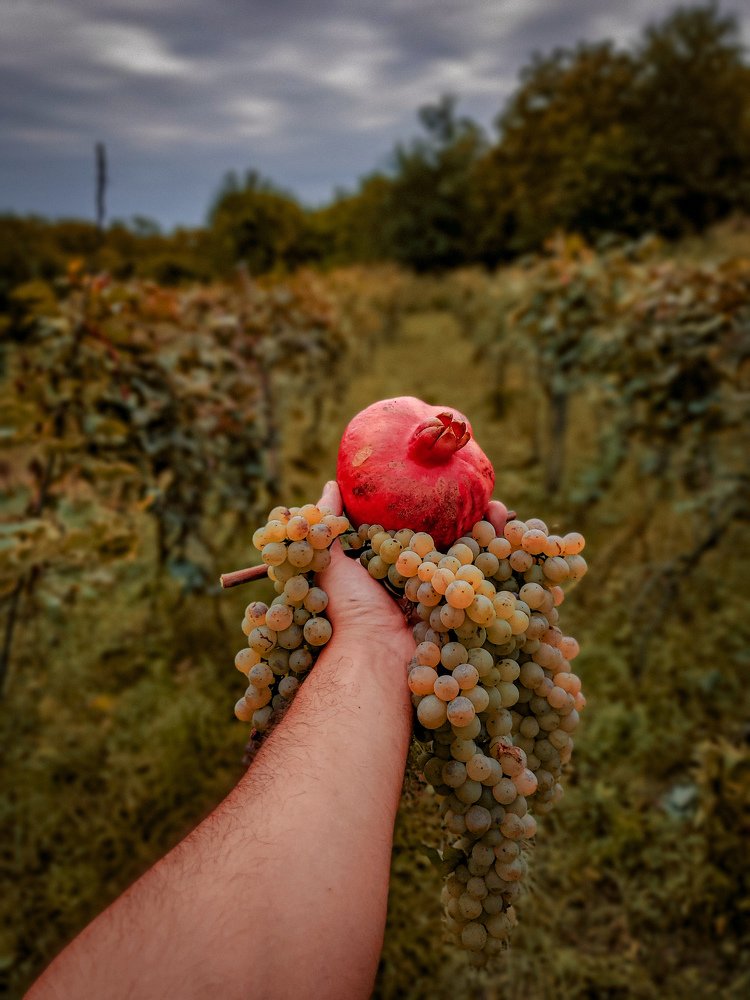 Photograph by spartak shanshiashvili