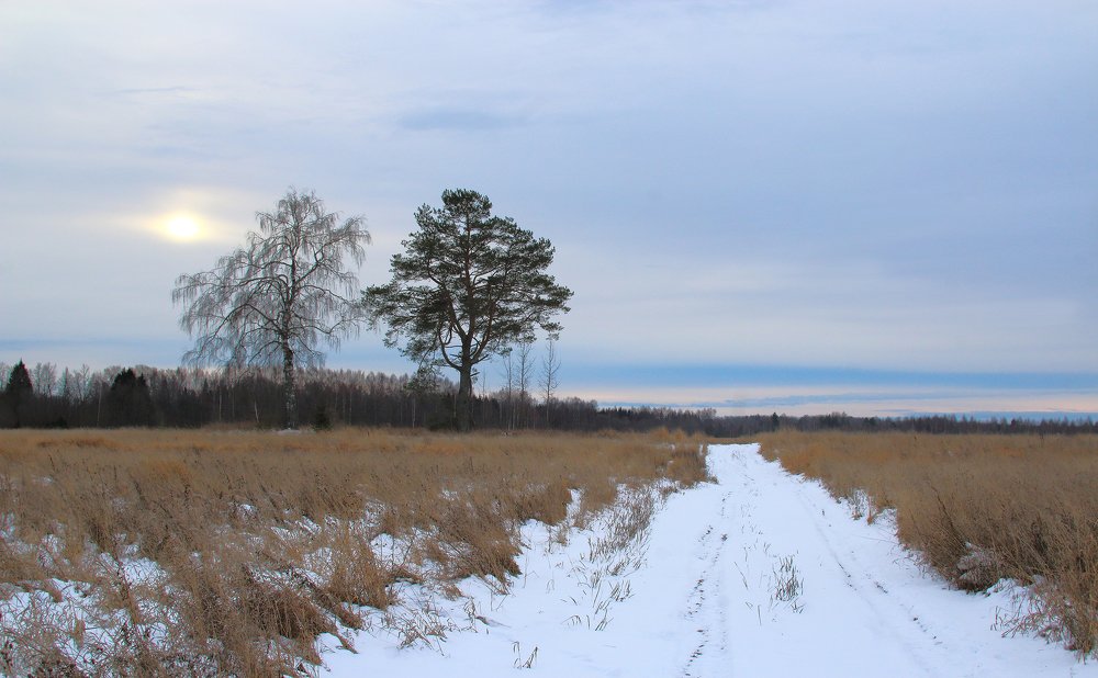 Photograph by Ирина Толокнова