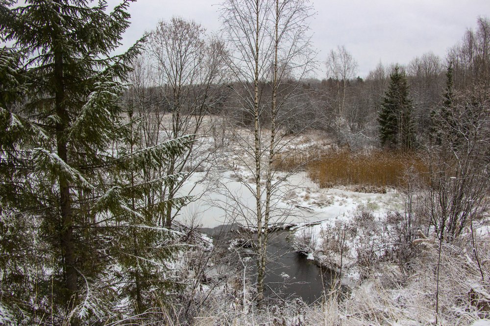 Photograph by Ирина Толокнова