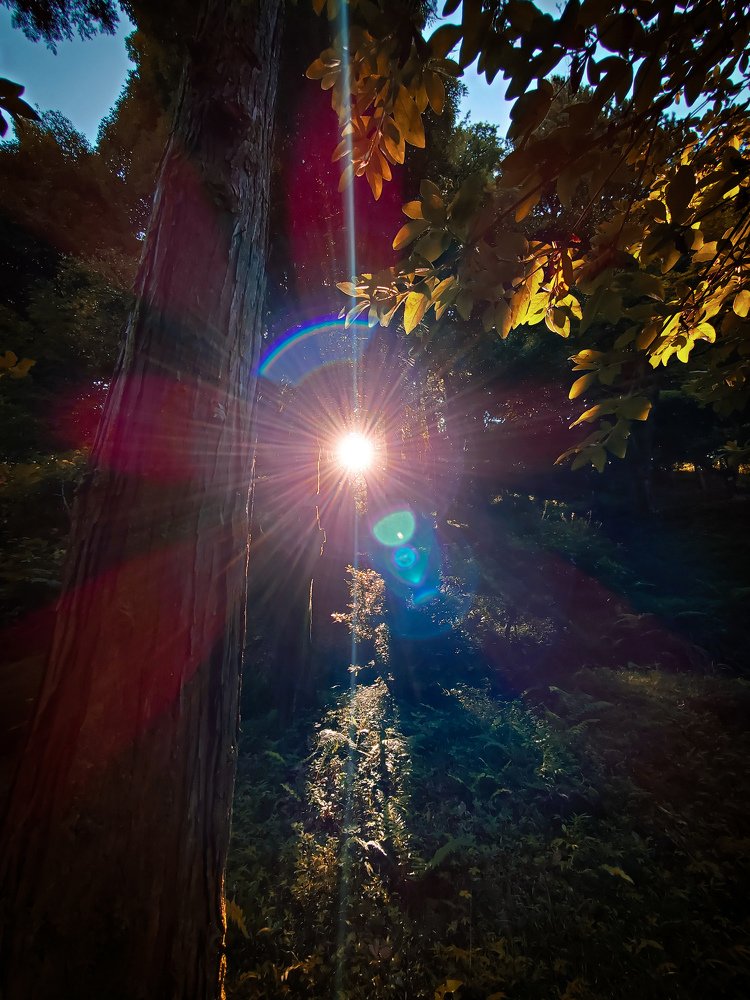 Photograph by spartak shanshiashvili