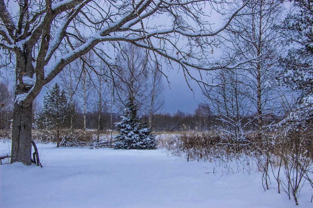 Photograph by Ирина Толокнова