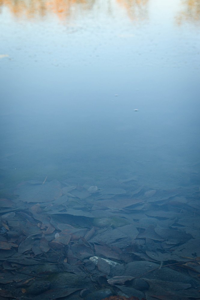 Фотография автора Оксана Белозерская