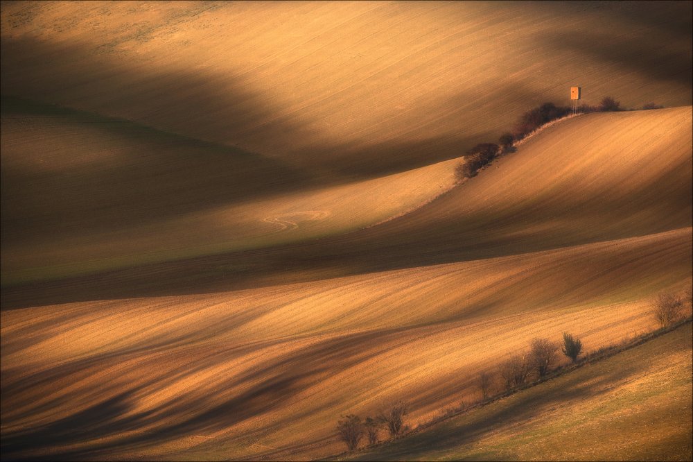 Ускользающие тени.