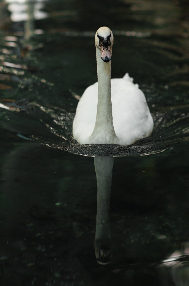 Photograph by Lerka Sonne