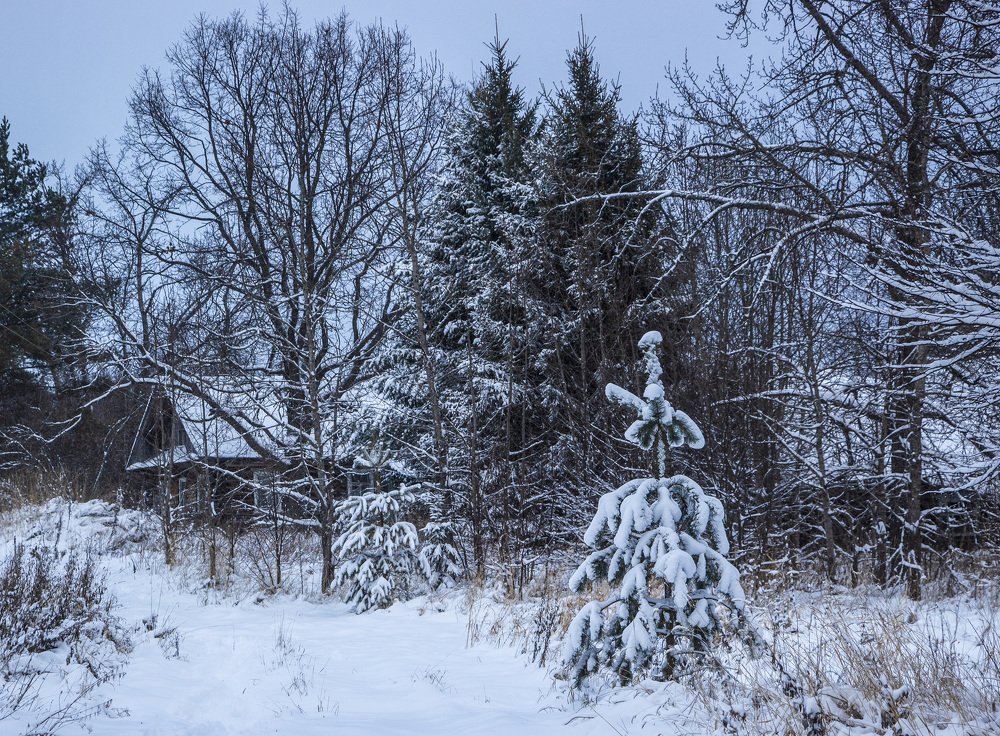 Заброшенная деревня.