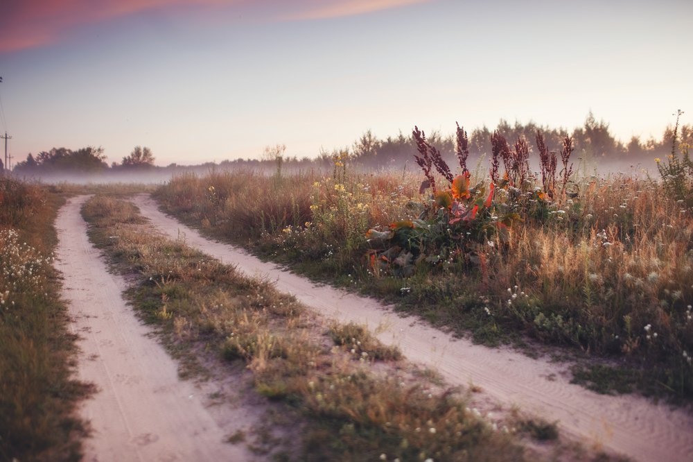 осенняя тропа