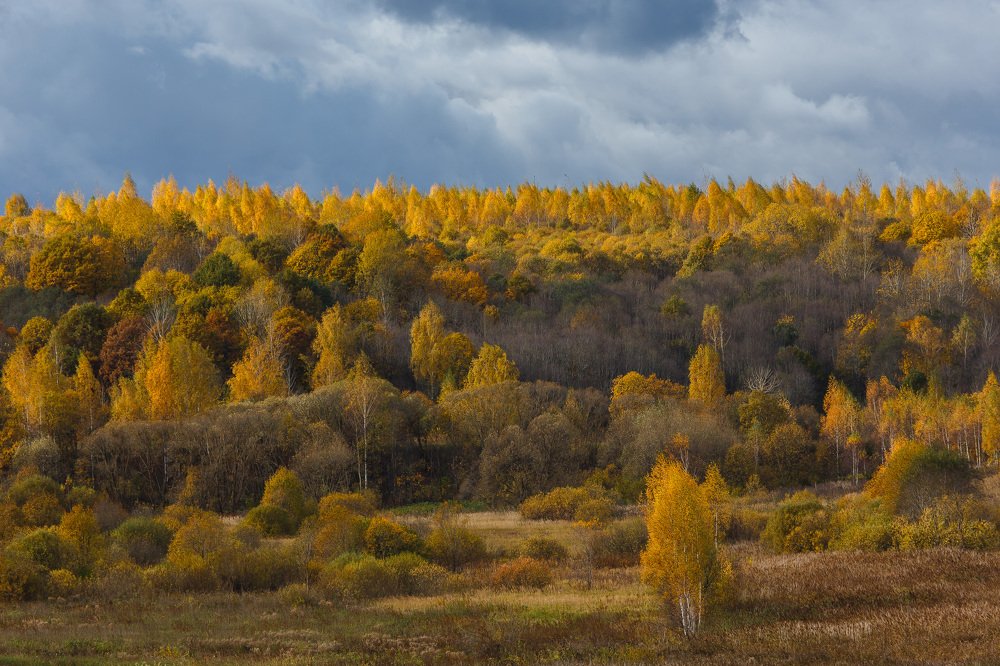 Photograph by Сергей Фомченков
