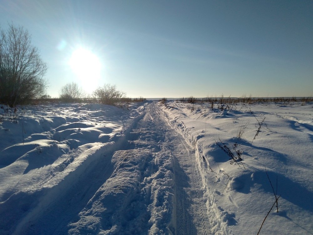 Photograph by Елена Малкова