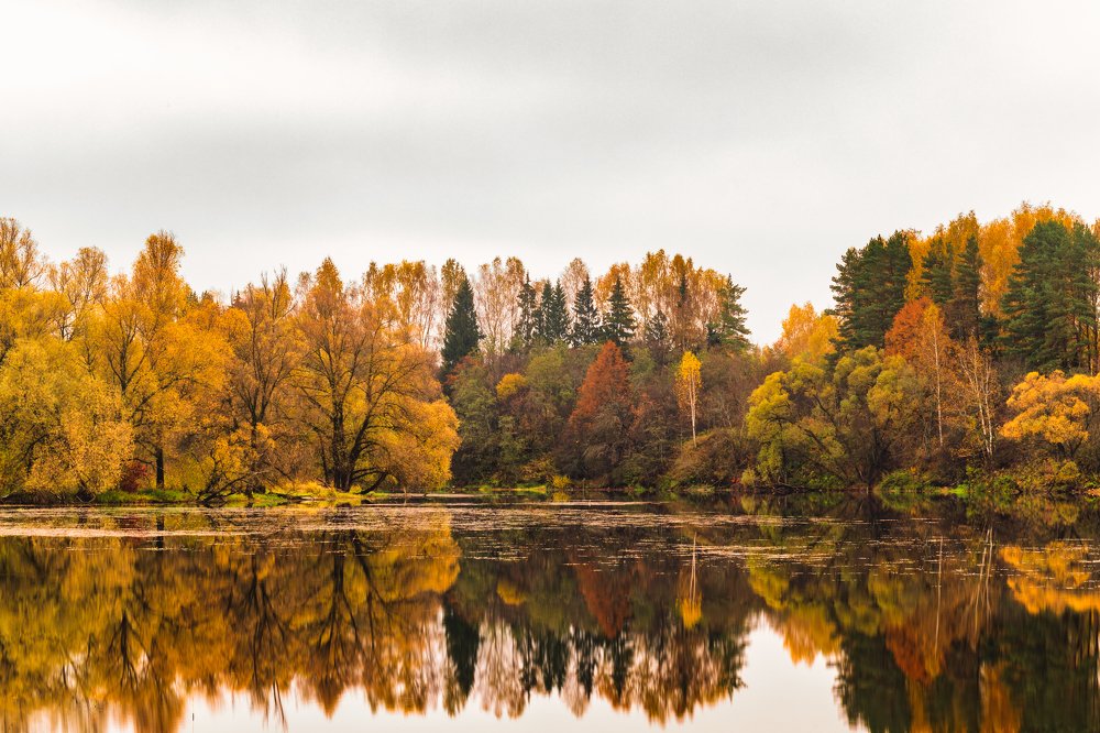 Photograph by Роман Врубель