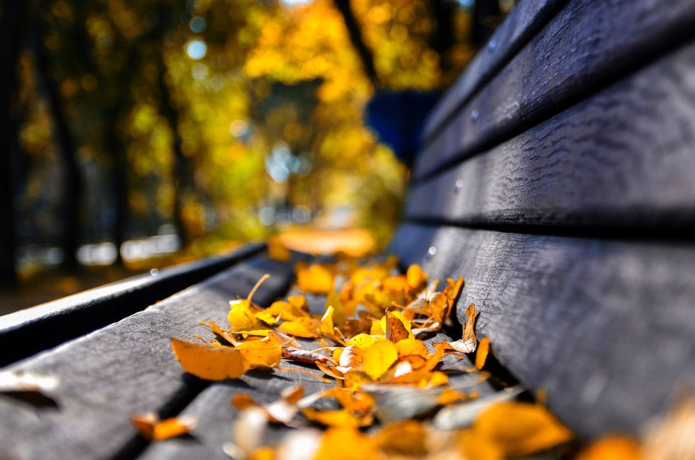 Photograph by Pavel SidorOFF