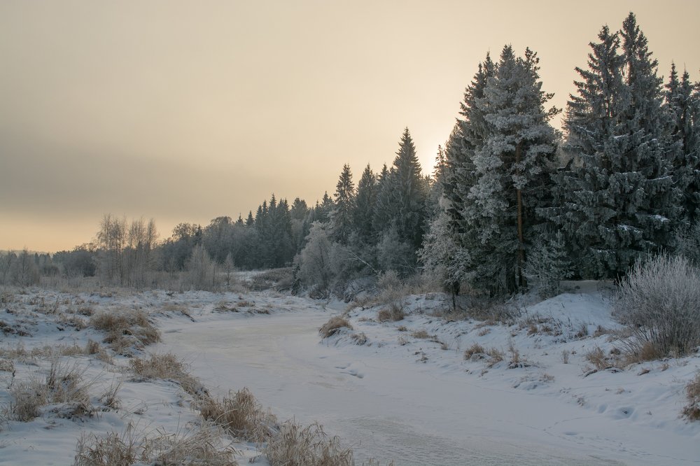 Photograph by Артем Полинин