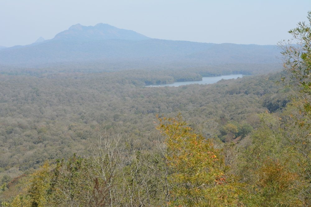 Photograph by Sajal Menon