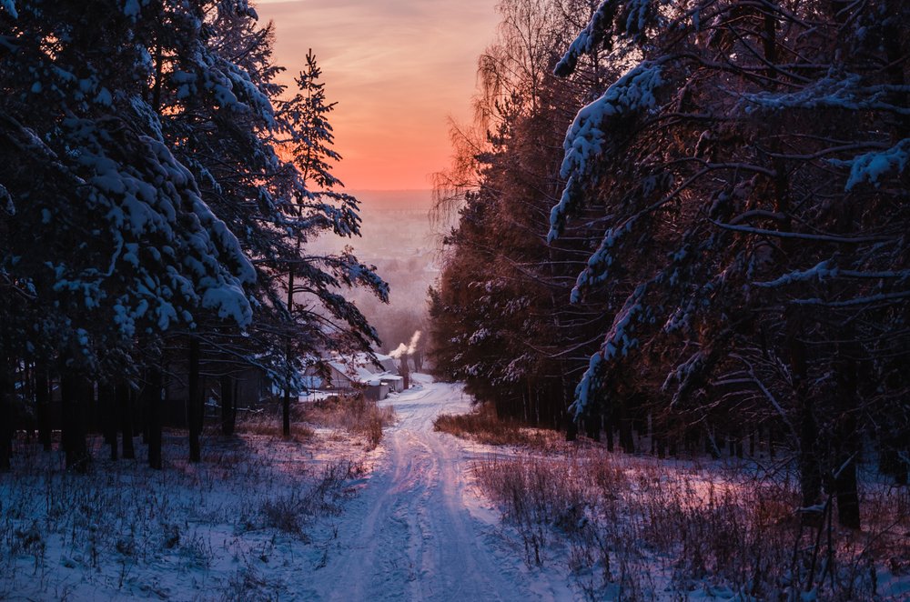 Photograph by Lerka Sonne