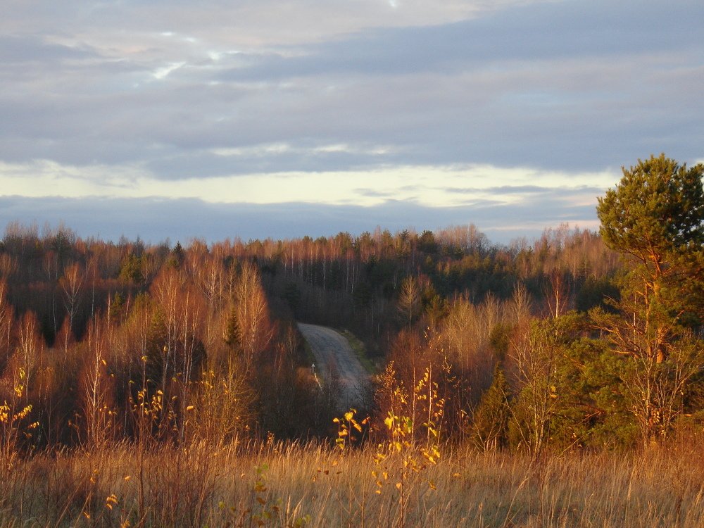 Photograph by Наталья Терентьева