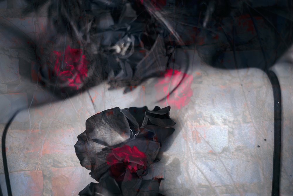 Photograph by Алёна Маркарян