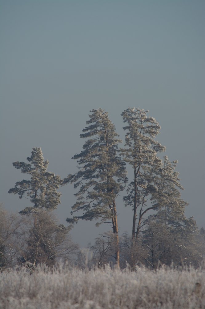 Photograph by Артем Полинин