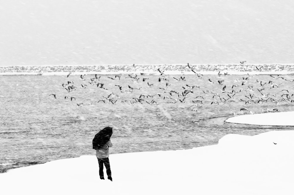 Photograph by Ozlem Ozyun