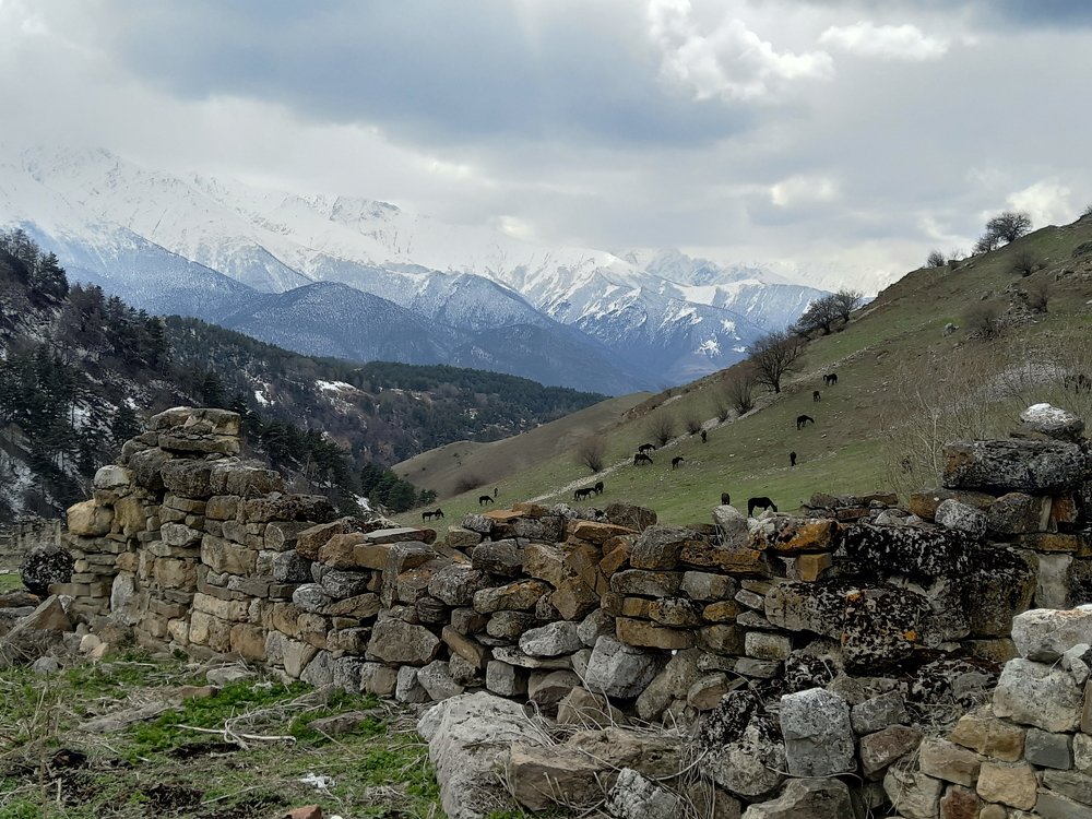 В горах Ингушетии