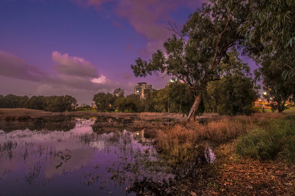 Photograph by Александр Бен Сандлер