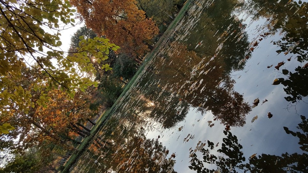 Photograph by Blagoja Mojsoski