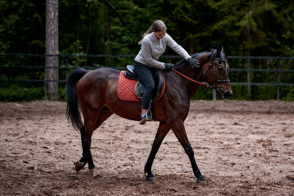 Photograph by Роман Зыков