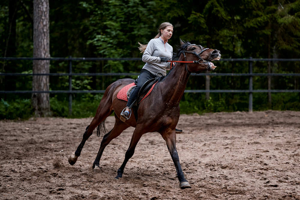 Photograph by Роман Зыков