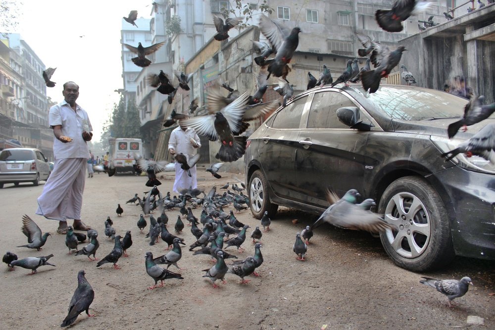 Photograph by DIBAKAR ROY